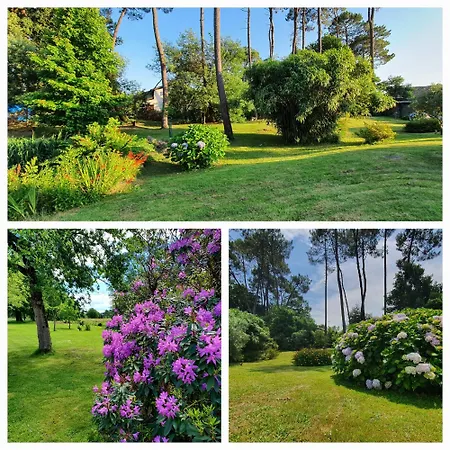 De L'aiguille Oeyreluy